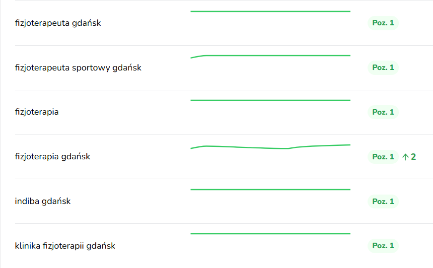 1 pozycja na najważniejsze frazy związane z fizjoterapią w wizytówce Google Moja Firma